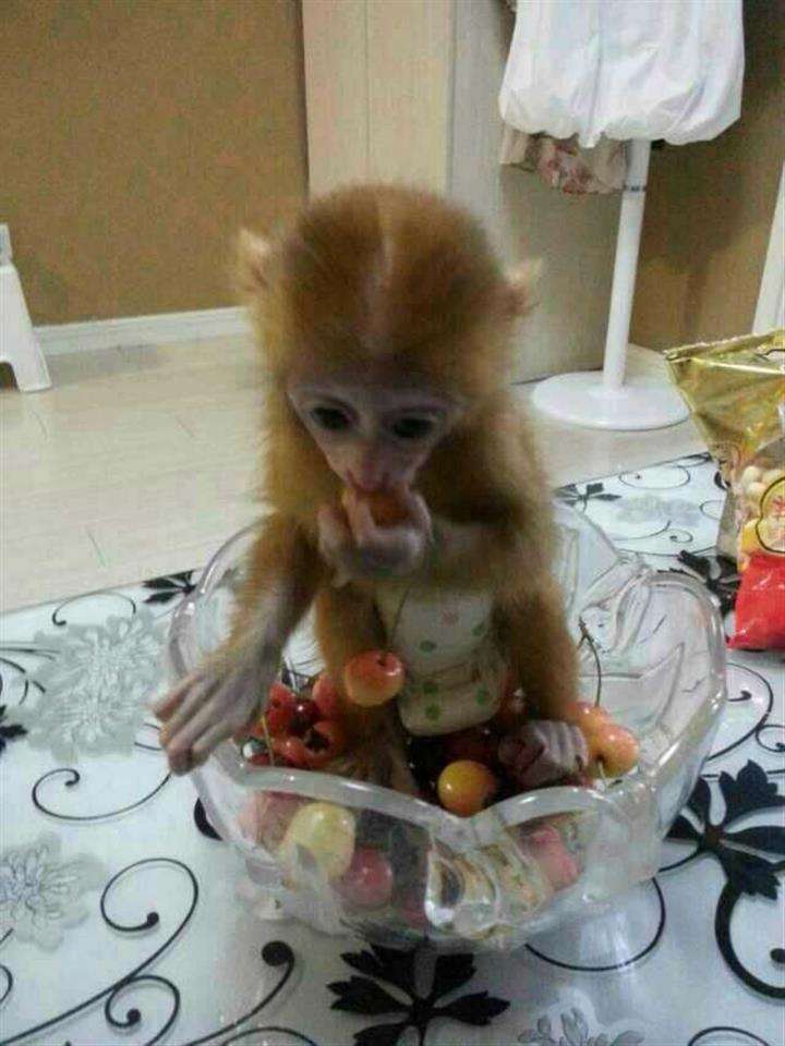 办个中国银行ATM转账凭条